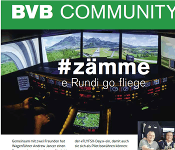 FLYFSX - Flugsimulator - Flight Simulator -  Rüchligweg 55 - 4125 Riehen - Basel - Baden - Aarau - Zürich - Schweiz - Lörrach - Freiburg - Deutschland. 