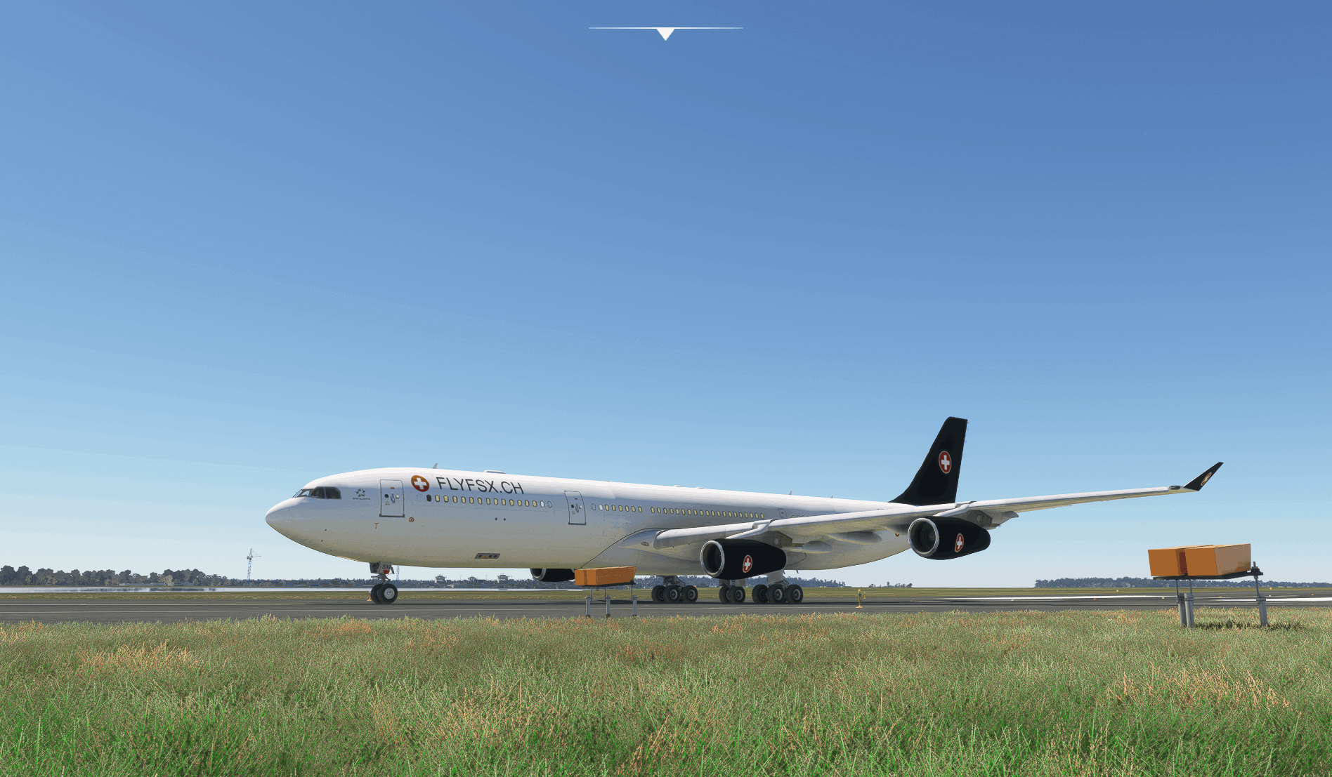 FLYFSX - Flugsimulator - Flight Simulator -  Rüchligweg 55 - 4125 Riehen - Basel - Baden - Aarau - Zürich - Schweiz - Lörrach - Freiburg - Deutschland. 