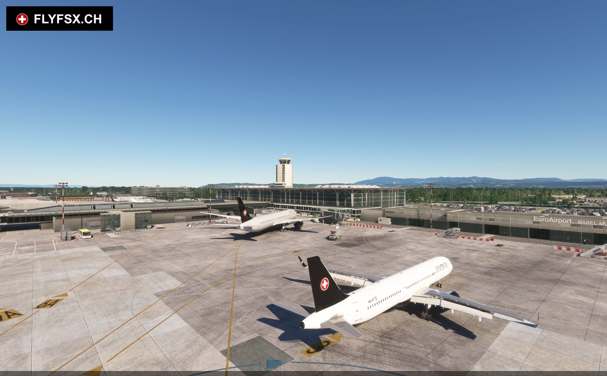FLYFSX - Flugsimulator - Flight Simulator -  Rüchligweg 55 - 4125 Riehen - Basel - Baden - Aarau - Zürich - Schweiz - Lörrach - Freiburg - Deutschland. 