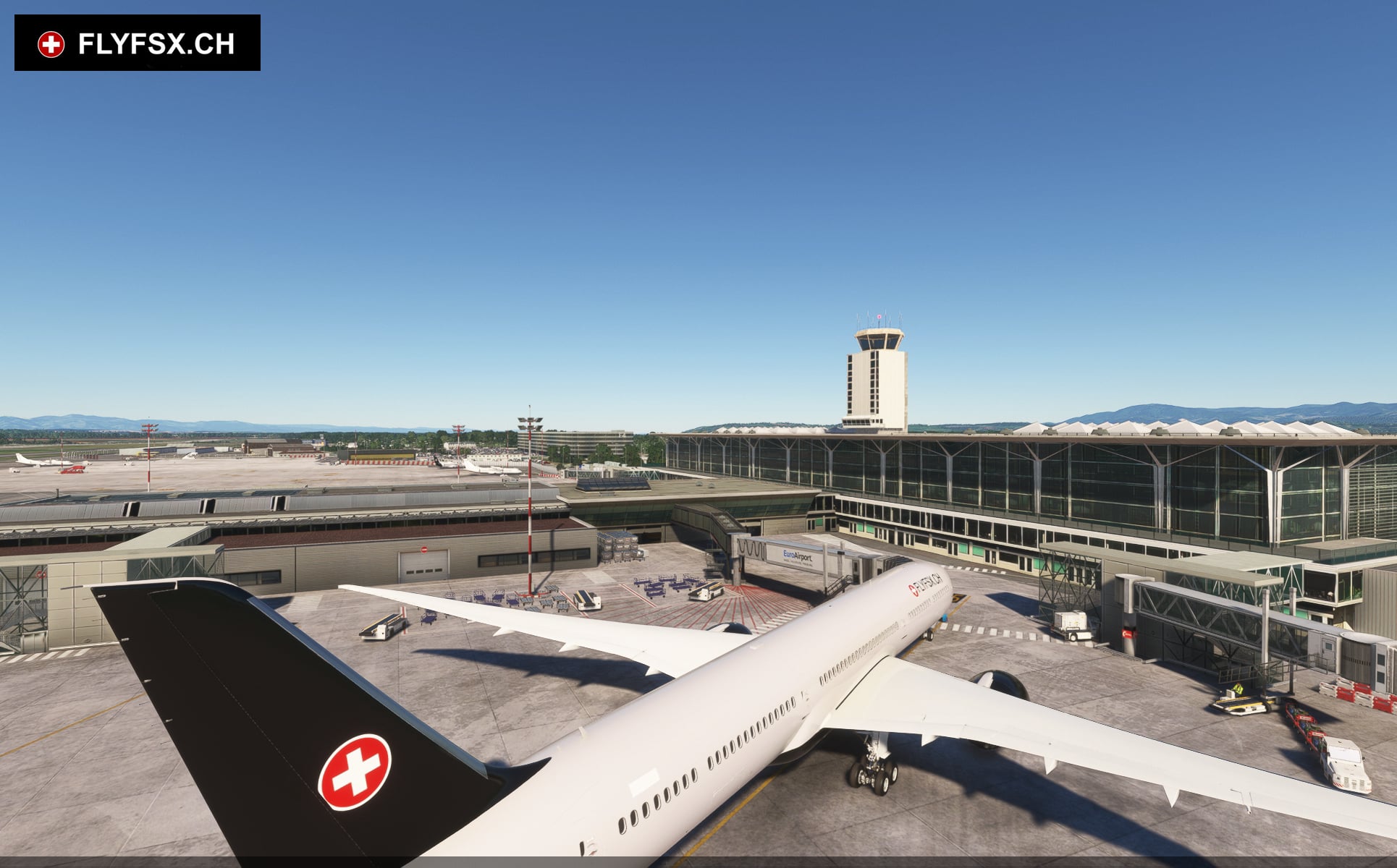 FLYFSX - Flugsimulator - Flight Simulator -  Rüchligweg 55 - 4125 Riehen - Basel - Baden - Aarau - Zürich - Schweiz - Lörrach - Freiburg - Deutschland. 