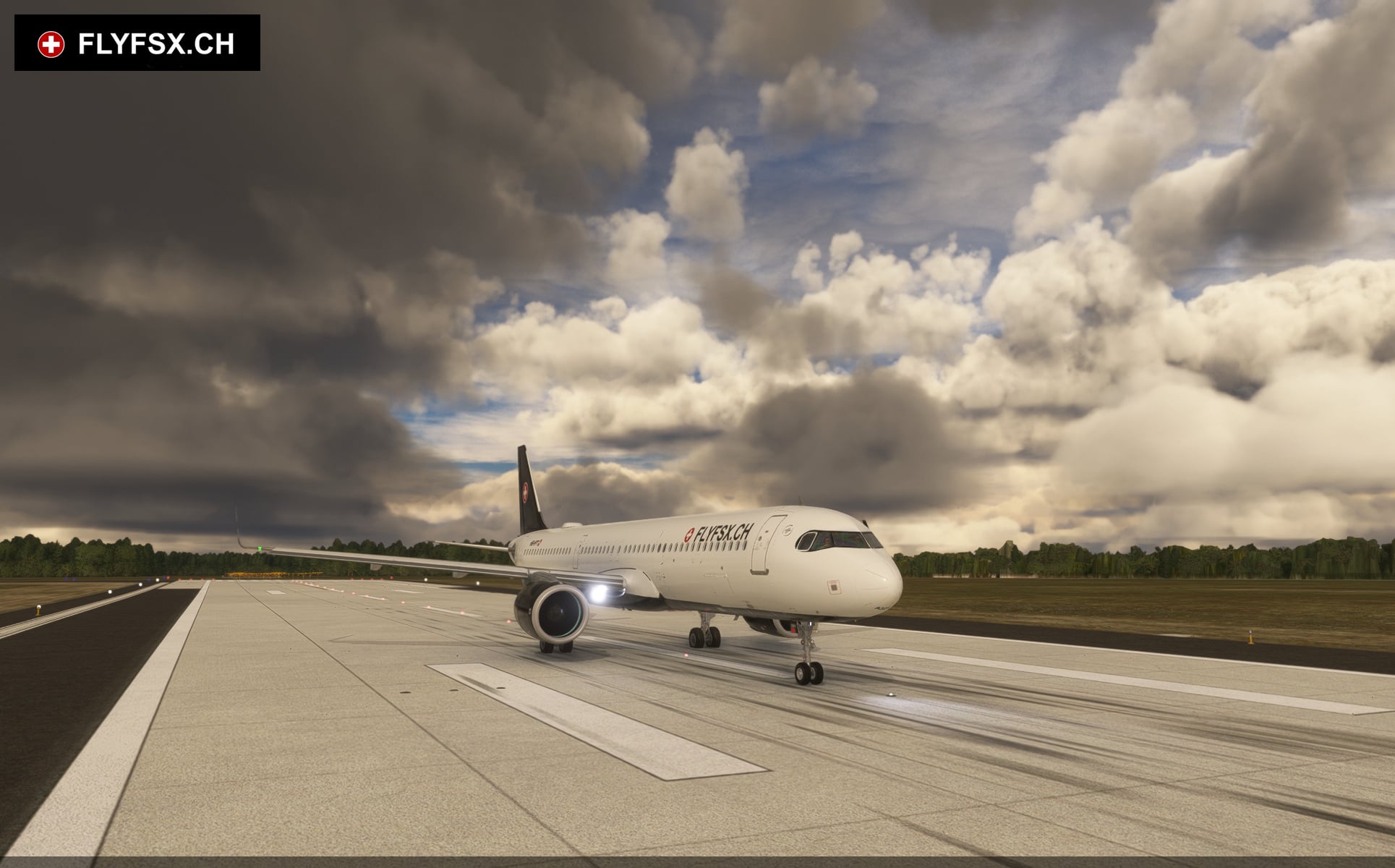 FLYFSX - Flugsimulator - Flight Simulator -  Rüchligweg 55 - 4125 Riehen - Basel - Baden - Aarau - Zürich - Schweiz - Lörrach - Freiburg - Deutschland. 