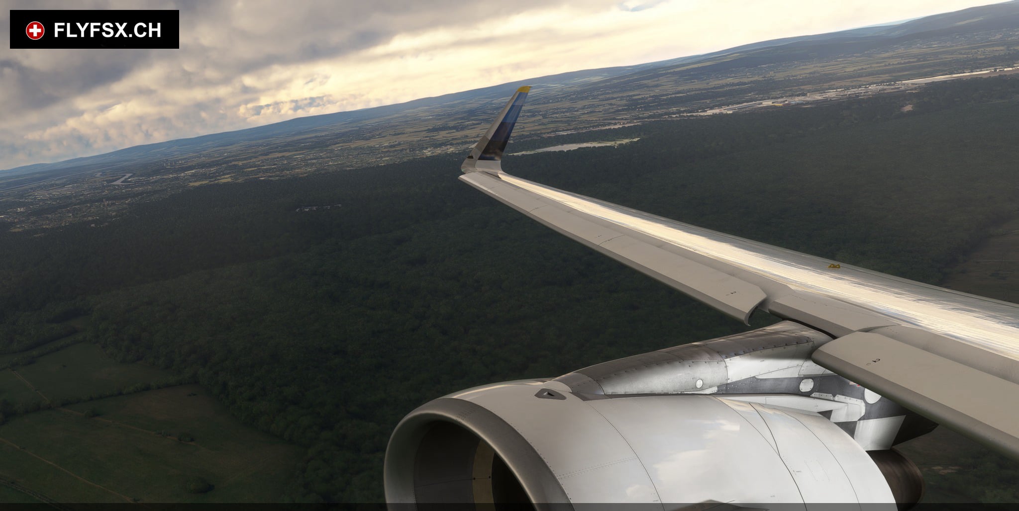 FLYFSX - Flugsimulator - Flight Simulator -  Rüchligweg 55 - 4125 Riehen - Basel - Baden - Aarau - Zürich - Schweiz - Lörrach - Freiburg - Deutschland. 