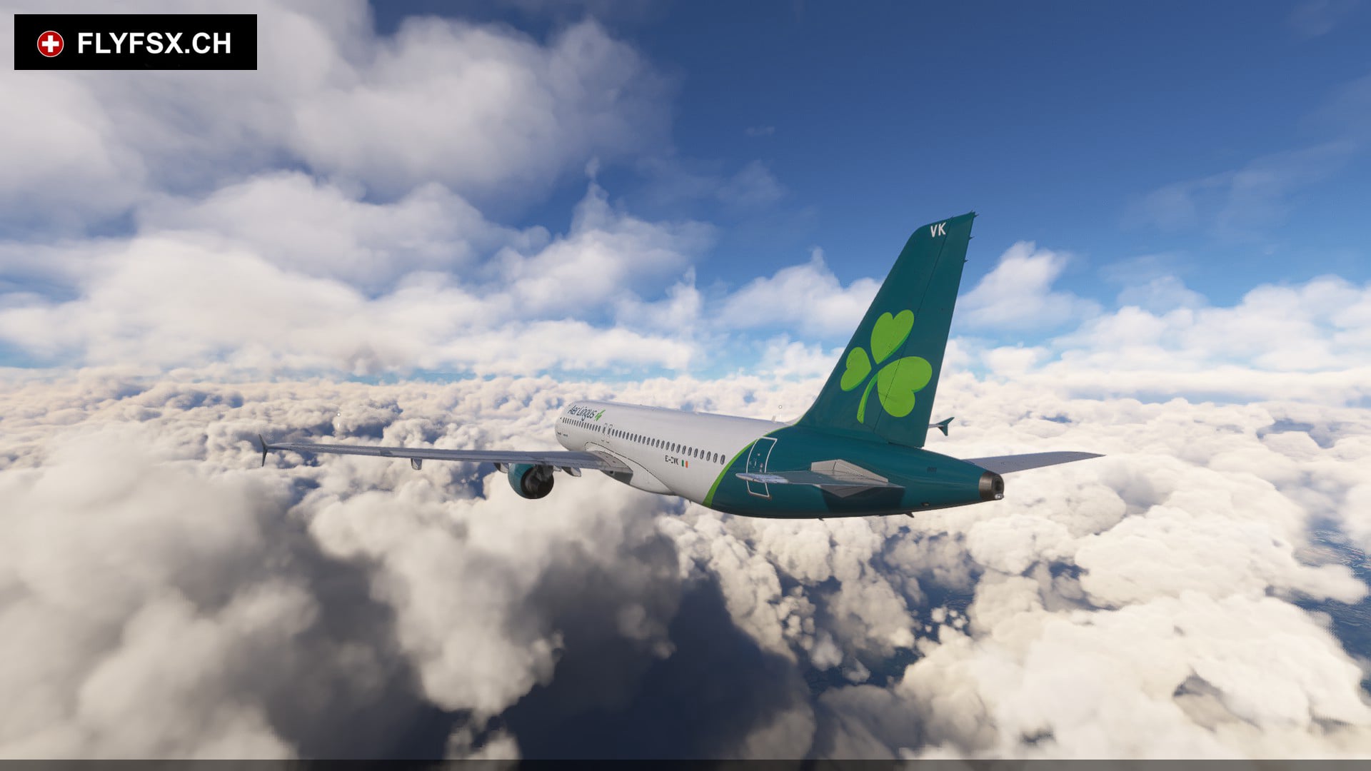 FLYFSX - Flugsimulator - Flight Simulator -  Rüchligweg 55 - 4125 Riehen - Basel - Baden - Aarau - Zürich - Schweiz - Lörrach - Freiburg - Deutschland. 