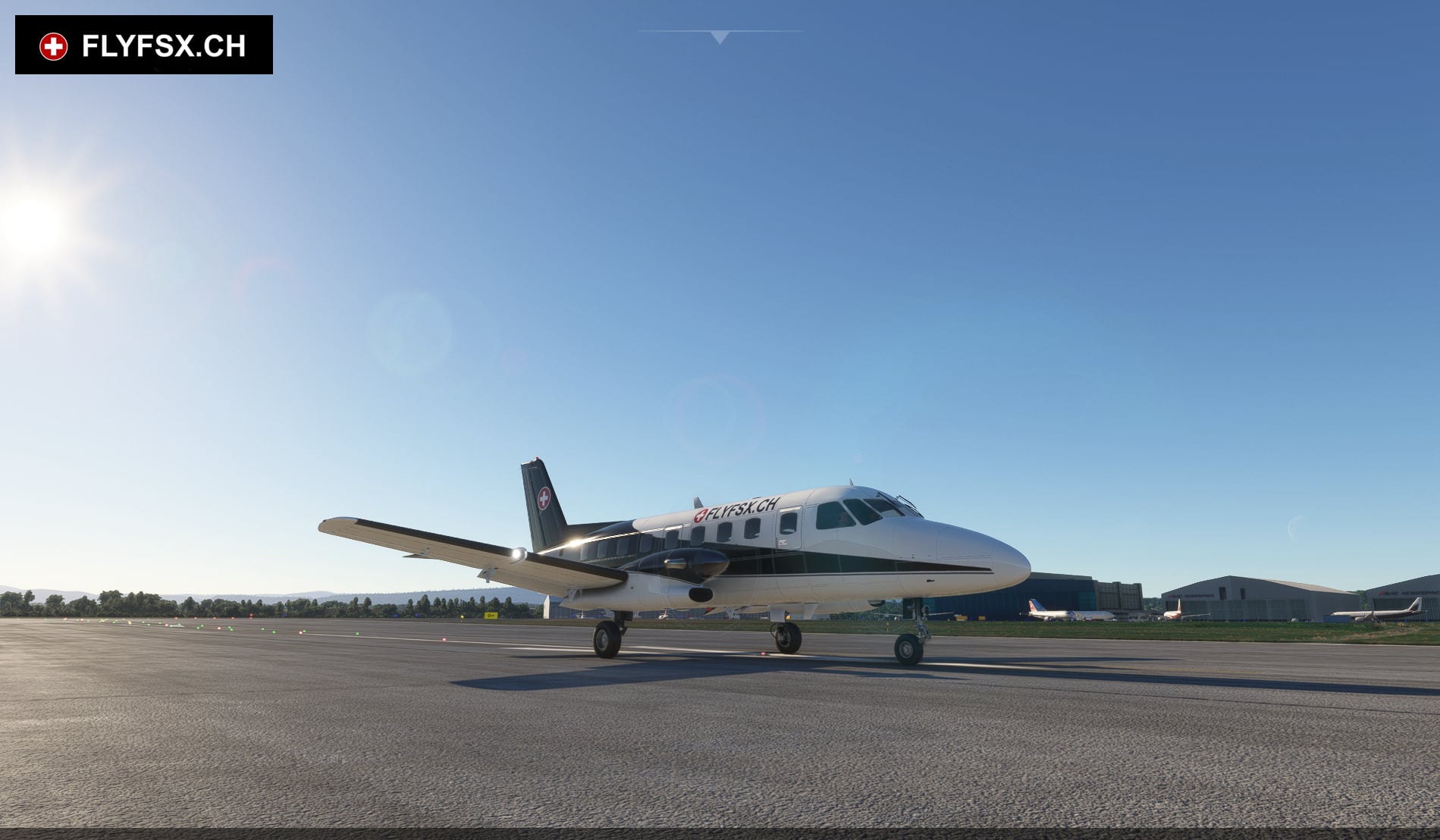 FLYFSX - Flugsimulator - Flight Simulator -  Rüchligweg 55 - 4125 Riehen - Basel - Baden - Aarau - Zürich - Schweiz - Lörrach - Freiburg - Deutschland. 