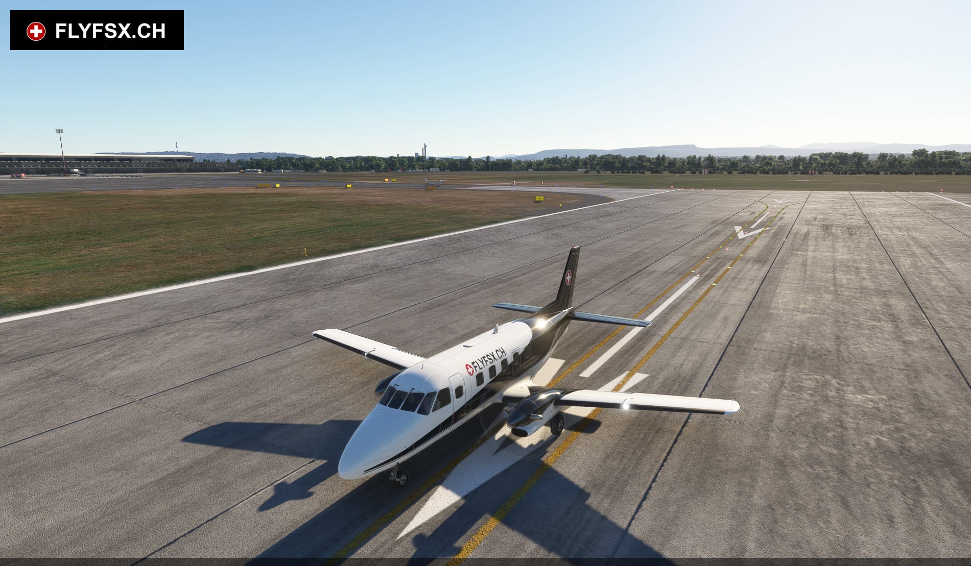 FLYFSX - Flugsimulator - Flight Simulator -  Rüchligweg 55 - 4125 Riehen - Basel - Baden - Aarau - Zürich - Schweiz - Lörrach - Freiburg - Deutschland. 