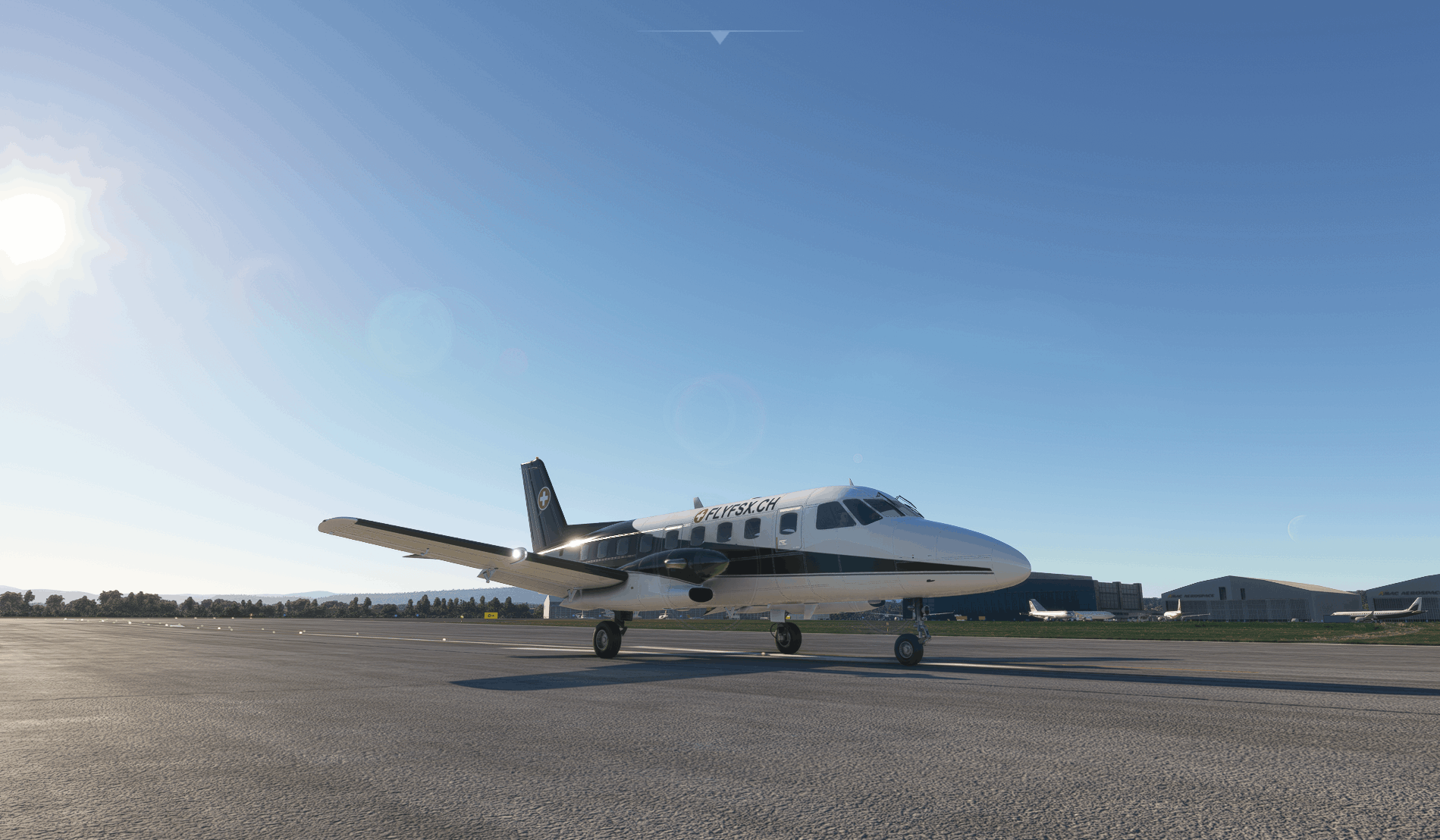 FLYFSX - Flugsimulator - Flight Simulator -  Rüchligweg 55 - 4125 Riehen - Basel - Baden - Aarau - Zürich - Schweiz - Lörrach - Freiburg - Deutschland. 