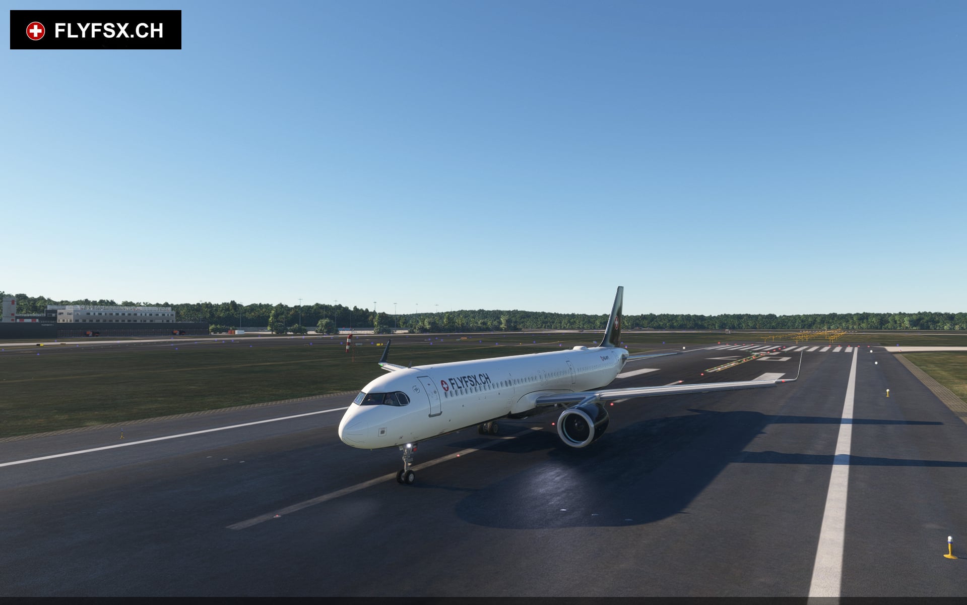 FLYFSX - Flugsimulator - Flight Simulator -  Rüchligweg 55 - 4125 Riehen - Basel - Baden - Aarau - Zürich - Schweiz - Lörrach - Freiburg - Deutschland. 