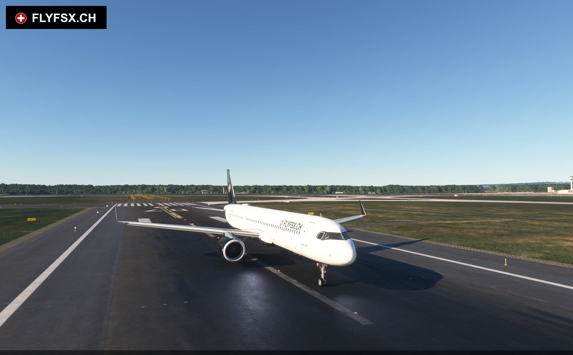 FLYFSX - Flugsimulator - Flight Simulator -  Rüchligweg 55 - 4125 Riehen - Basel - Baden - Aarau - Zürich - Schweiz - Lörrach - Freiburg - Deutschland. 
