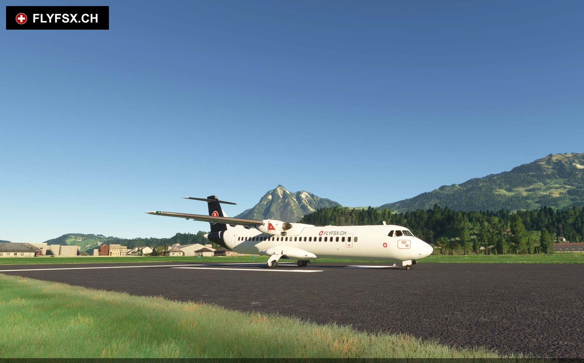 FLYFSX - Flugsimulator - Flight Simulator -  Rüchligweg 55 - 4125 Riehen - Basel - Baden - Aarau - Zürich - Schweiz - Lörrach - Freiburg - Deutschland. 