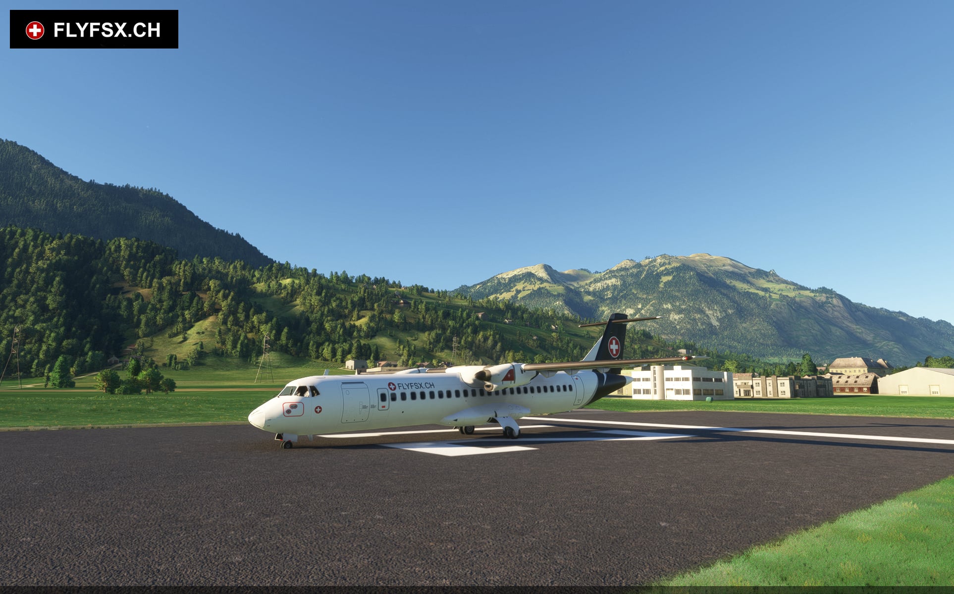 FLYFSX - Flugsimulator - Flight Simulator -  Rüchligweg 55 - 4125 Riehen - Basel - Baden - Aarau - Zürich - Schweiz - Lörrach - Freiburg - Deutschland. 