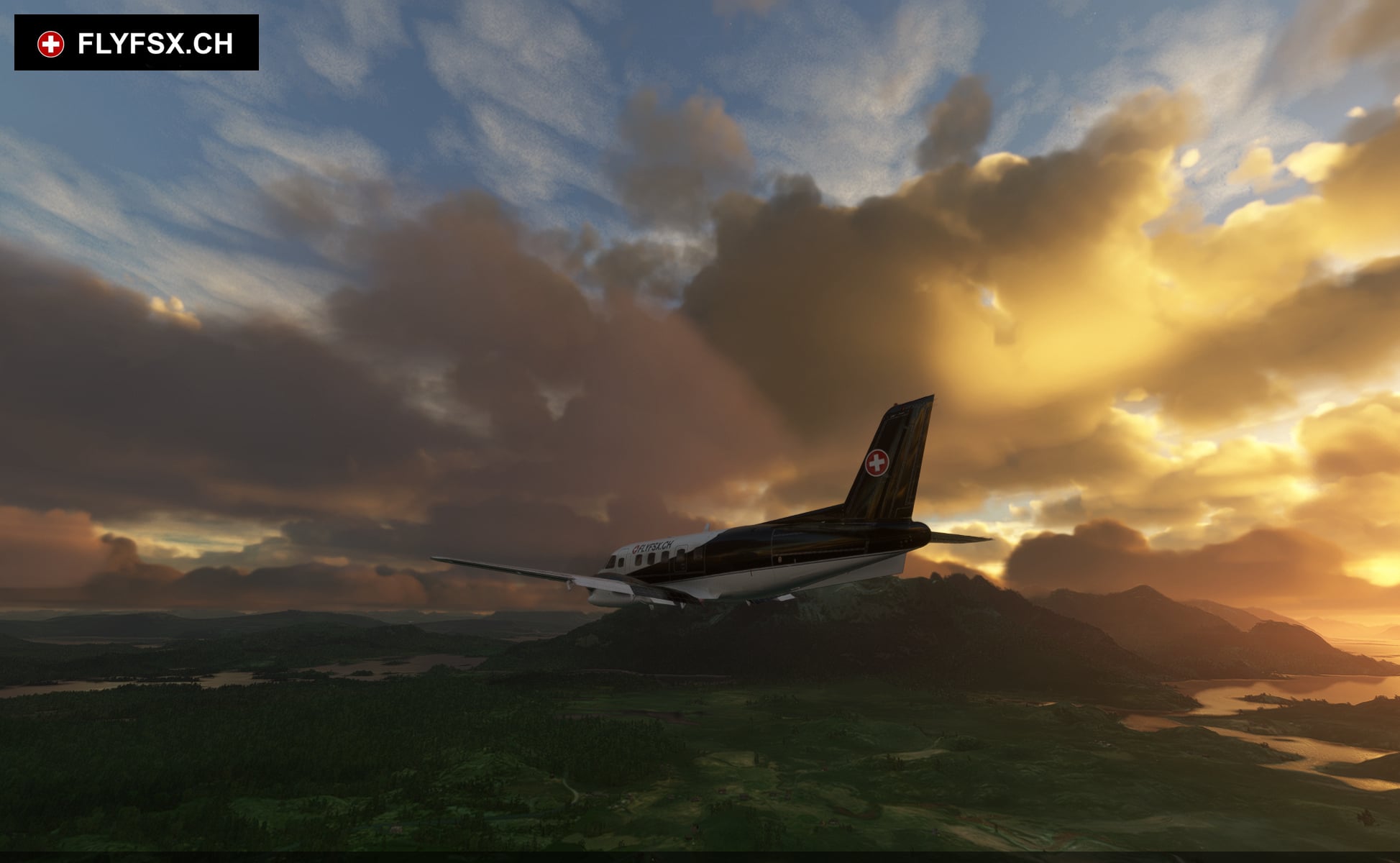 FLYFSX - Flugsimulator - Flight Simulator -  Rüchligweg 55 - 4125 Riehen - Basel - Baden - Aarau - Zürich - Schweiz - Lörrach - Freiburg - Deutschland. 