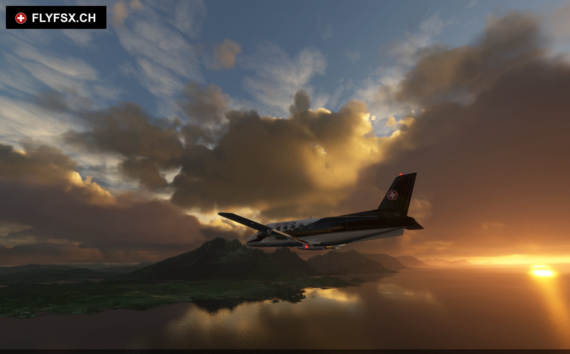 FLYFSX - Flugsimulator - Flight Simulator -  Rüchligweg 55 - 4125 Riehen - Basel - Baden - Aarau - Zürich - Schweiz - Lörrach - Freiburg - Deutschland. 