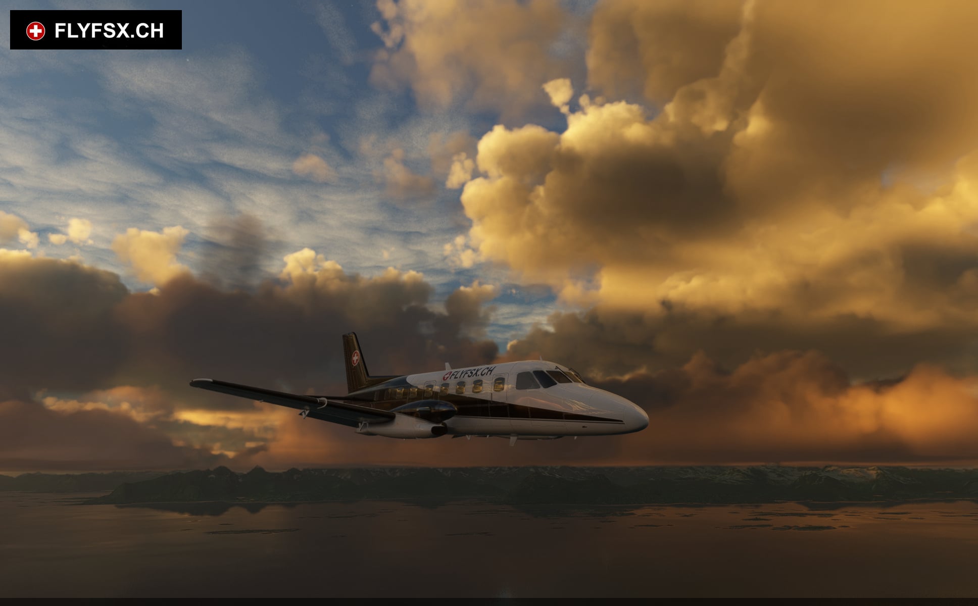 FLYFSX - Flugsimulator - Flight Simulator -  Rüchligweg 55 - 4125 Riehen - Basel - Baden - Aarau - Zürich - Schweiz - Lörrach - Freiburg - Deutschland. 