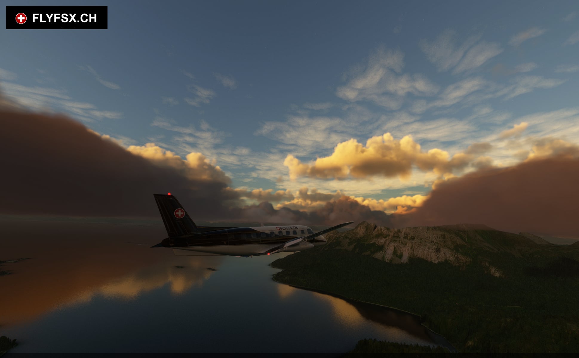 FLYFSX - Flugsimulator - Flight Simulator -  Rüchligweg 55 - 4125 Riehen - Basel - Baden - Aarau - Zürich - Schweiz - Lörrach - Freiburg - Deutschland. 