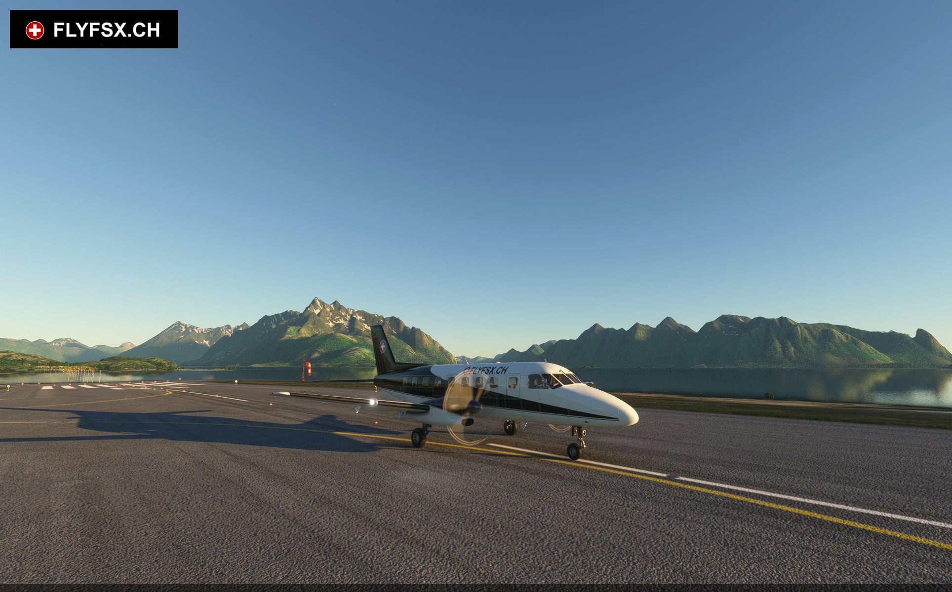 FLYFSX - Flugsimulator - Flight Simulator -  Rüchligweg 55 - 4125 Riehen - Basel - Baden - Aarau - Zürich - Schweiz - Lörrach - Freiburg - Deutschland. 