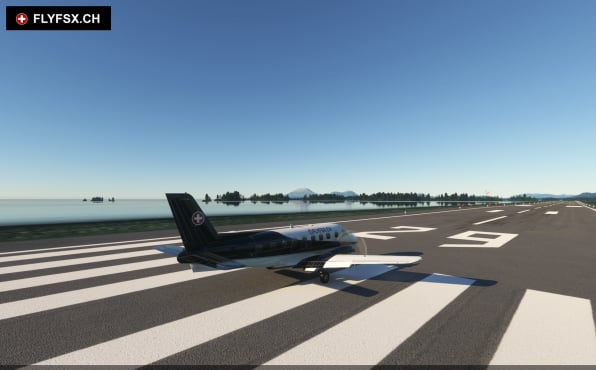 FLYFSX - Flugsimulator - Flight Simulator -  Rüchligweg 55 - 4125 Riehen - Basel - Baden - Aarau - Zürich - Schweiz - Lörrach - Freiburg - Deutschland. 