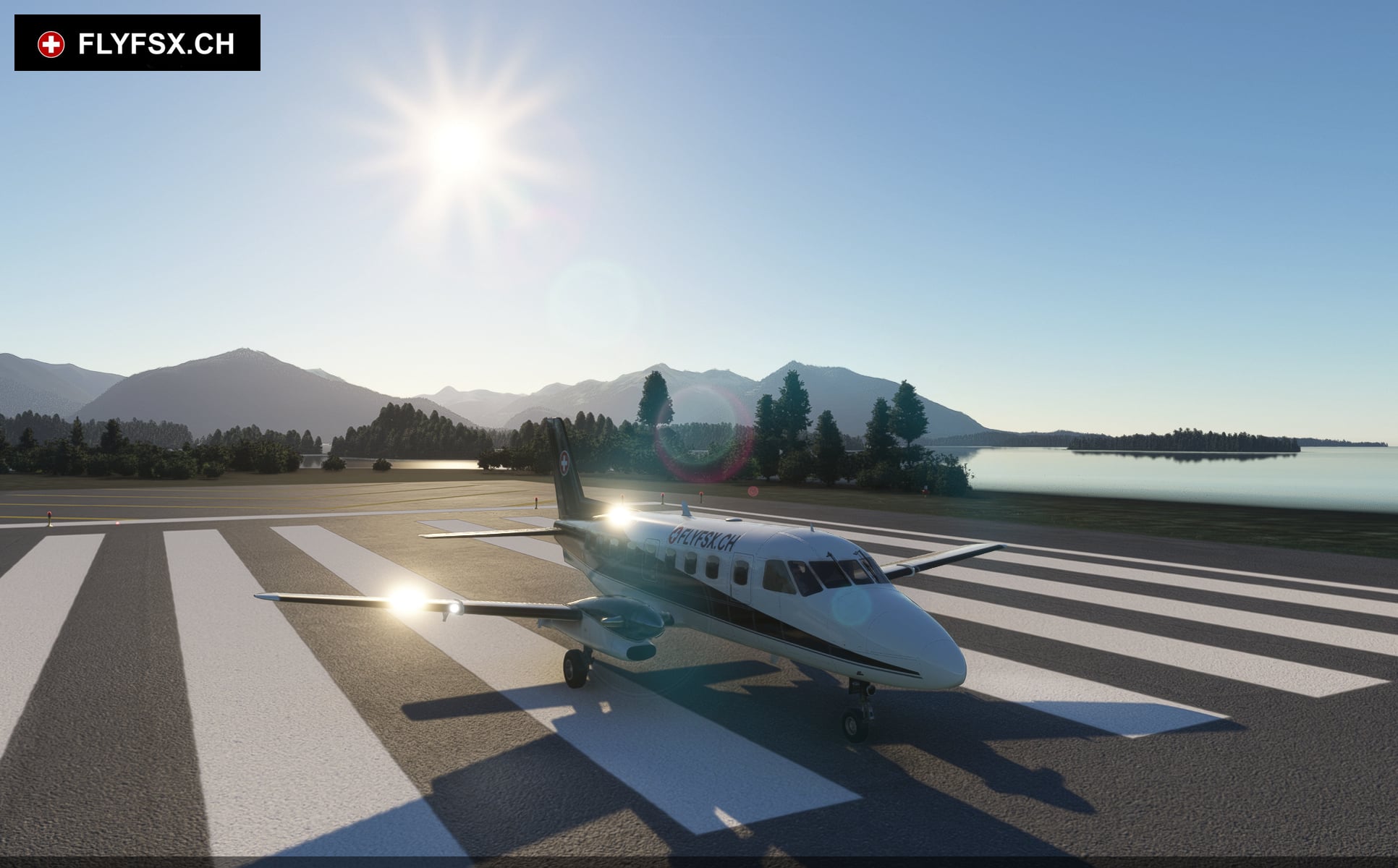 FLYFSX - Flugsimulator - Flight Simulator -  Rüchligweg 55 - 4125 Riehen - Basel - Baden - Aarau - Zürich - Schweiz - Lörrach - Freiburg - Deutschland. 