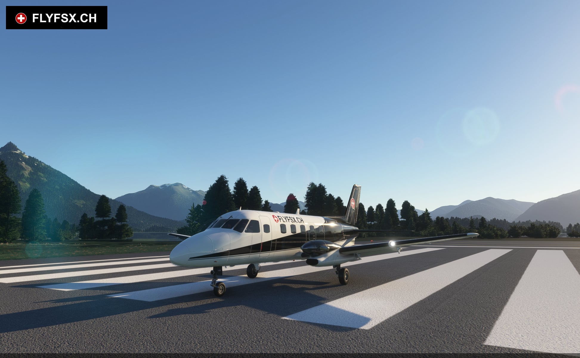 FLYFSX - Flugsimulator - Flight Simulator -  Rüchligweg 55 - 4125 Riehen - Basel - Baden - Aarau - Zürich - Schweiz - Lörrach - Freiburg - Deutschland. 