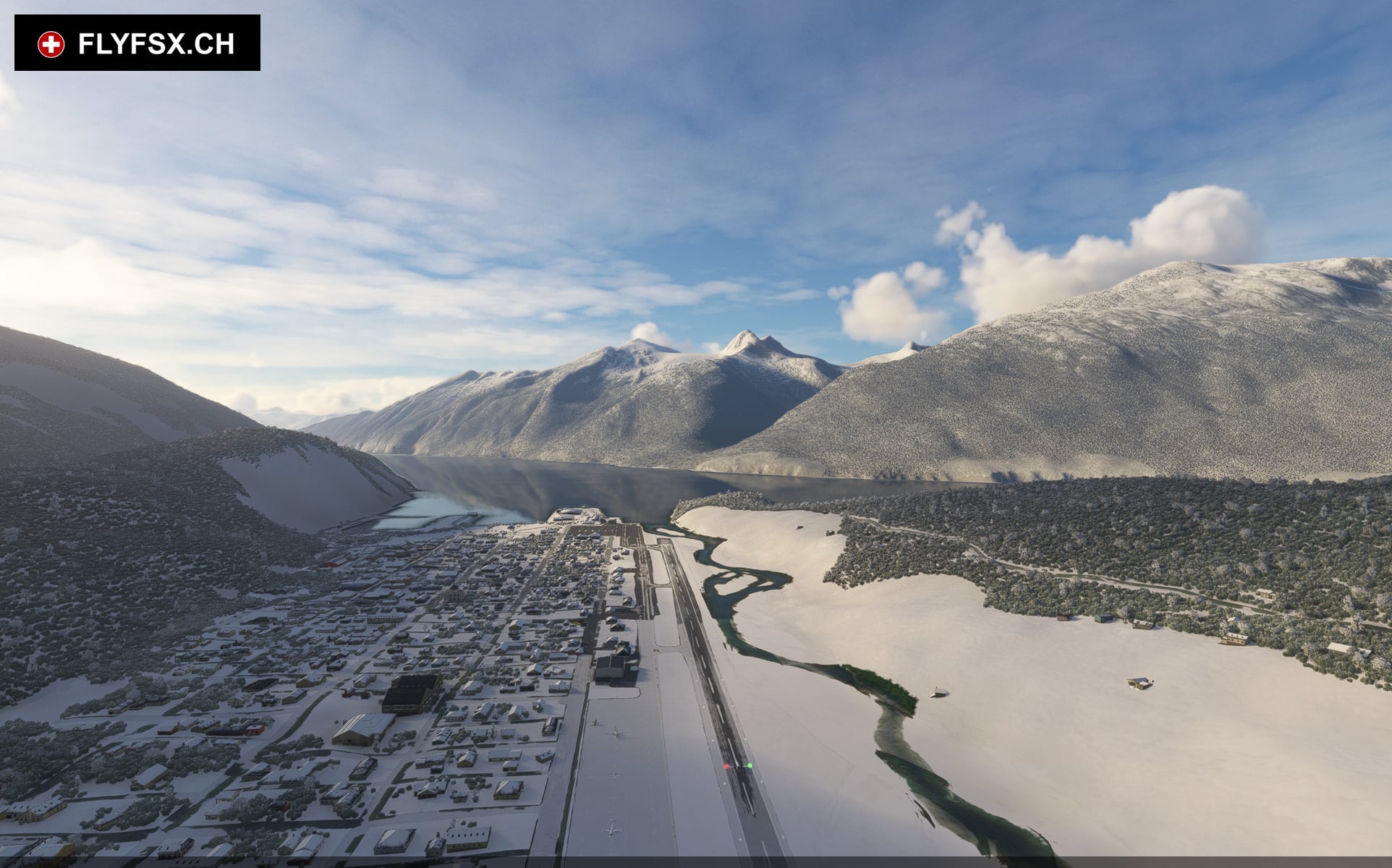 FLYFSX - Flugsimulator - Flight Simulator -  Rüchligweg 55 - 4125 Riehen - Basel - Baden - Aarau - Zürich - Schweiz - Lörrach - Freiburg - Deutschland. 